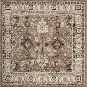Antiqued Oriental Area Rug – Distressed Neutral Design