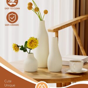 Neutral Bud Vase Set – Minimal Table Decor